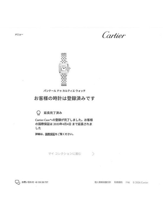 Cartier Watch Panthère Mini Square Silver Dial Roman Index SS Quartz Analog main image 10